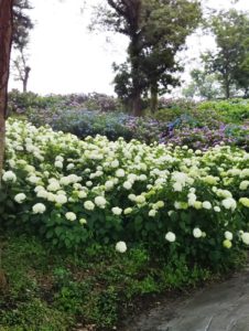 まずは基礎工事からご覧ください - コトブキホームビルダー|目黒区・品川区の狭小地での注文住宅を手掛ける工務店