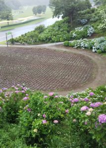 DSC_0037 - コトブキホームビルダー|目黒区・品川区の狭小地での注文住宅を手掛ける工務店