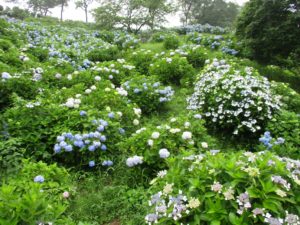 kotobukikai_2013.10 (3) - コトブキホームビルダー|目黒区・品川区の狭小地での注文住宅を手掛ける工務店