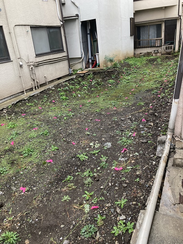 コトブキホームビルダー　ブライト西小山