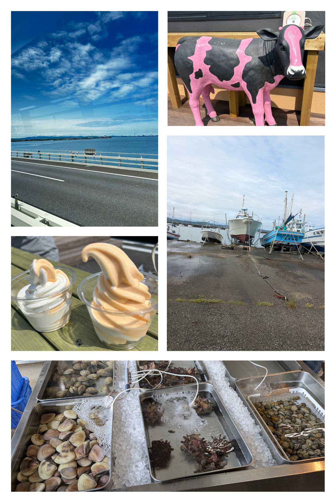 コトブキ会地引網 - コトブキホームビルダー|目黒区・品川区の狭小地での注文住宅を手掛ける工務店 コトブキ会