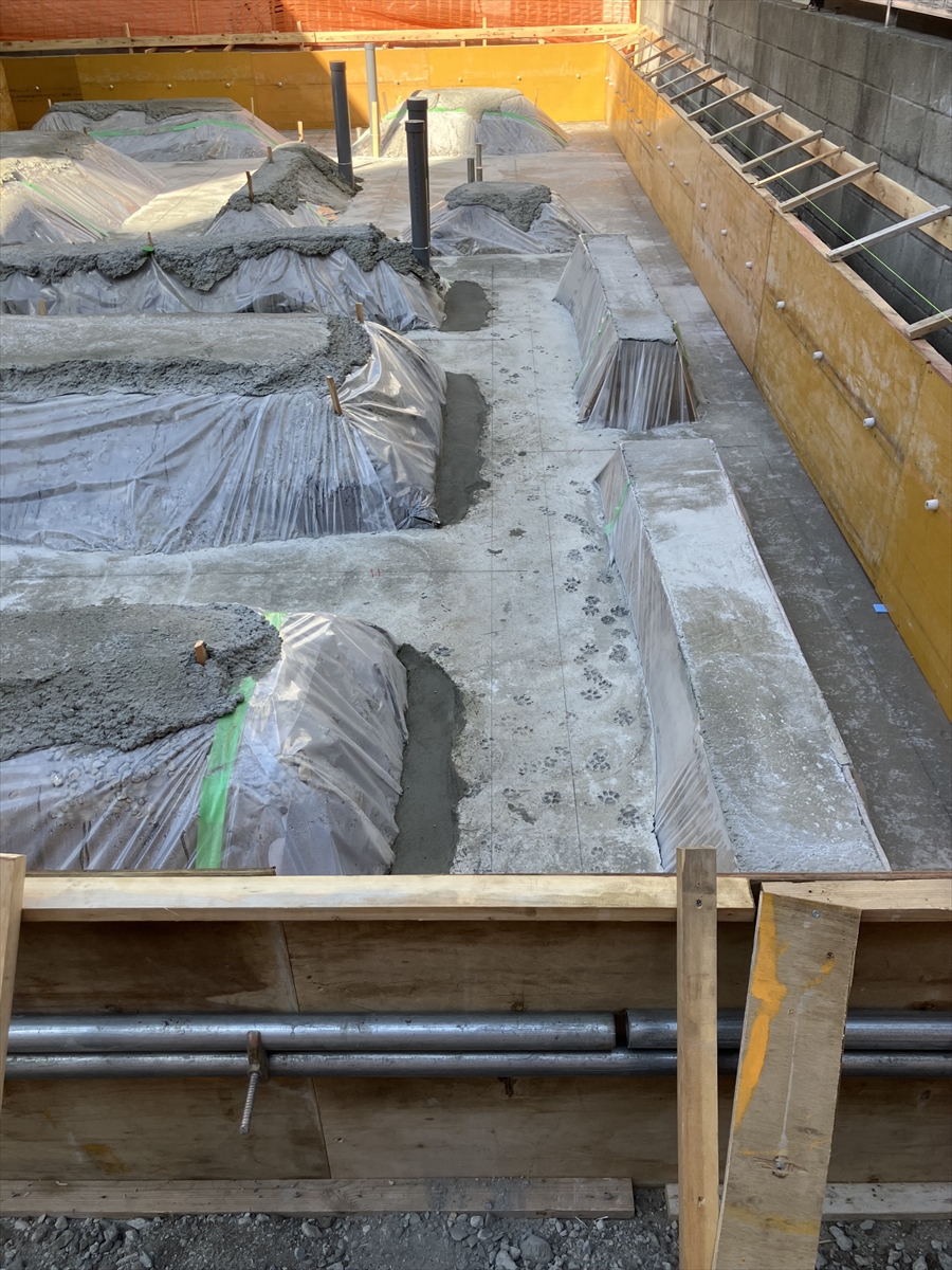 コトブキホームビルダー目黒区A邸AP基礎工事